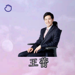 王蕾
